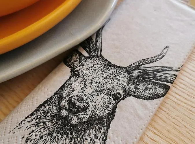 Predlowka - Na Dachu Swiata *